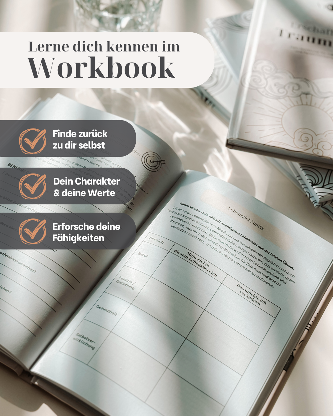 Vistam Workbook aufgeschlagen auf der Lebensziel-Matrix, eine wunderbare Übung, um sich über einen Lebensziele klar zu werden.
