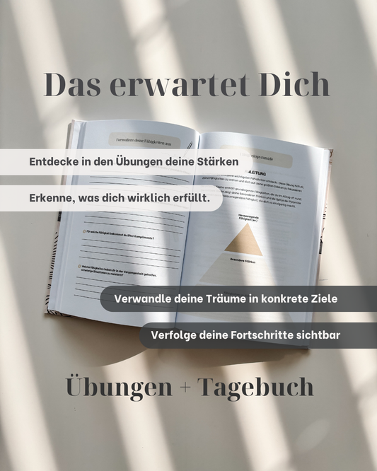 Vistam Workbook Seite mit Fähigkeitspyramide.