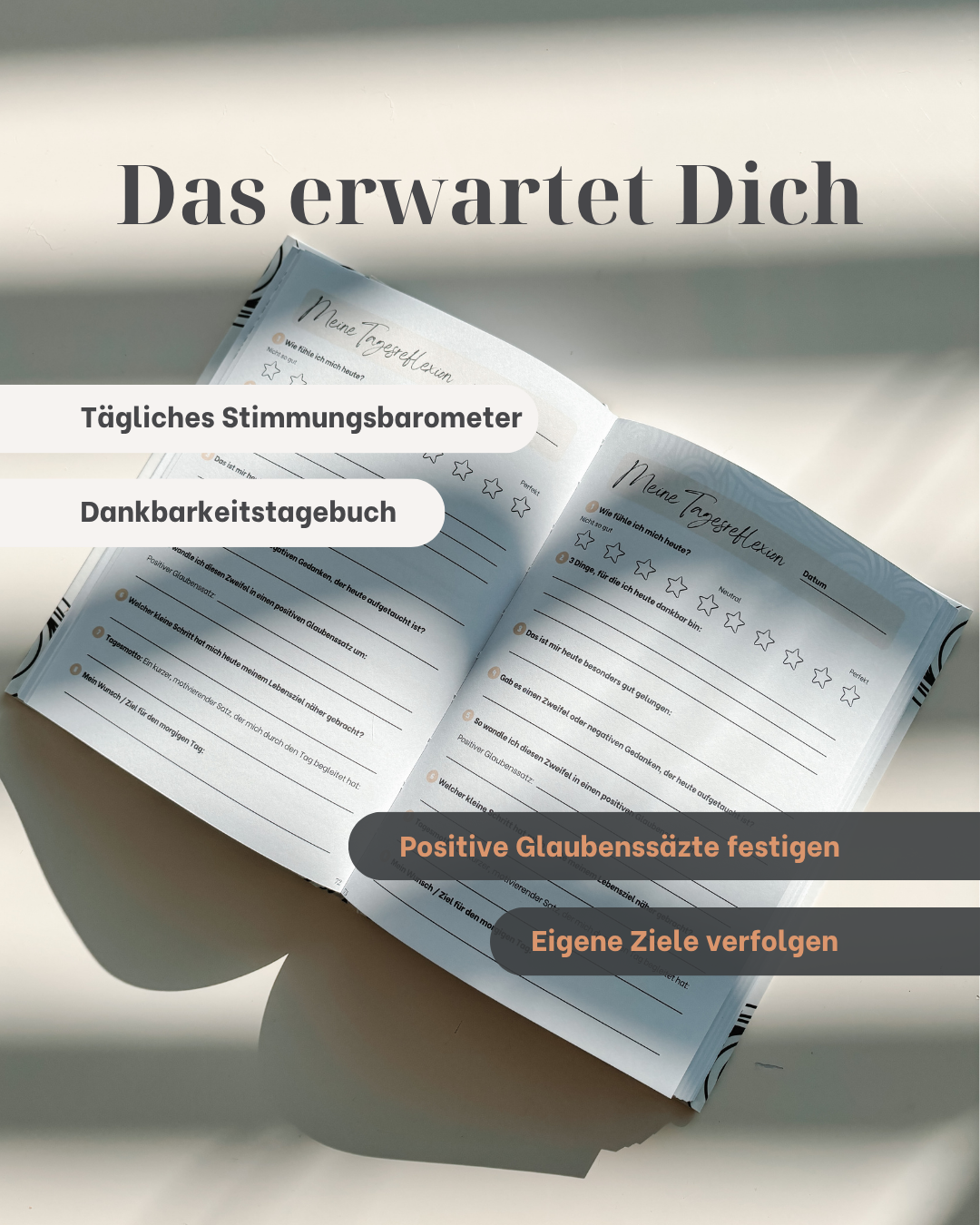 Vistam Reflexionstagebuch Inhaltsübersicht.Tägliches Stimmungsbarometer, Dankbarkeitsfragen, Glaubenssätze und Ziele definieren